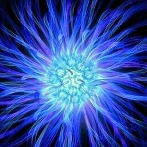 Meet your Posher, Mia